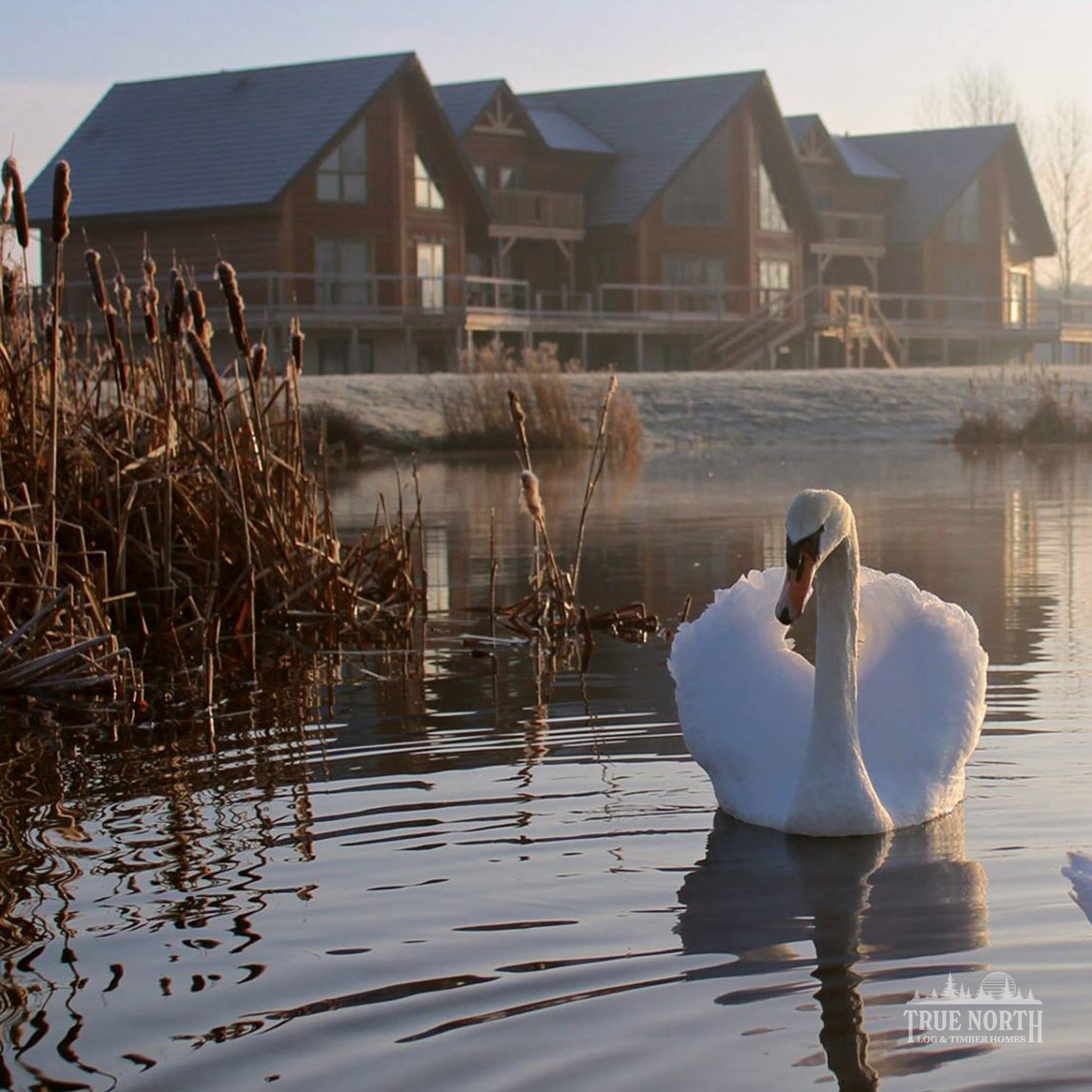 Alaskan commercial Canadian log building built for Foundation Matters charity - Exterior across lake with Swan and morning mist
